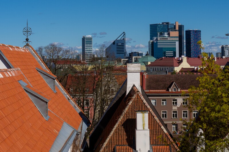 taani-kuninga-aed 2025-05-03 1-4