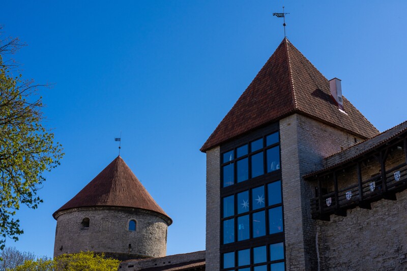 taani-kuninga-aed 2025-05-03 1-5