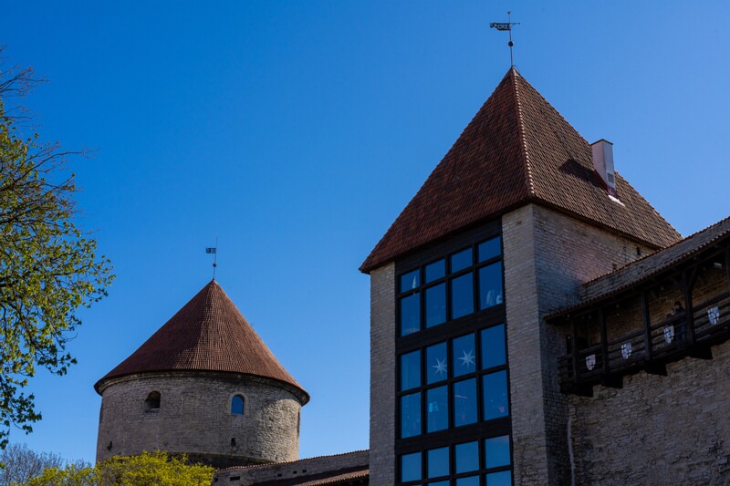 taani-kuninga-aed 2025-05-03 1-6