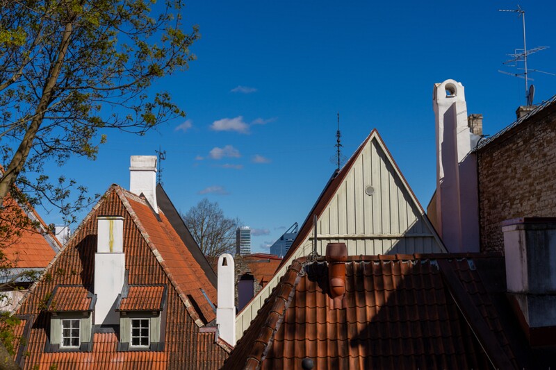 taani-kuninga-aed 2025-05-03 1-7