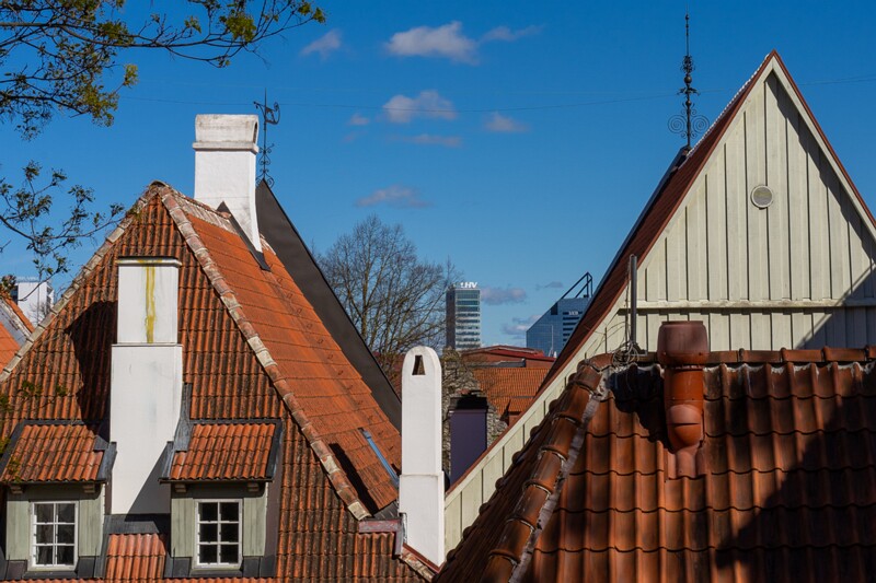 taani-kuninga-aed 2025-05-03 1-8