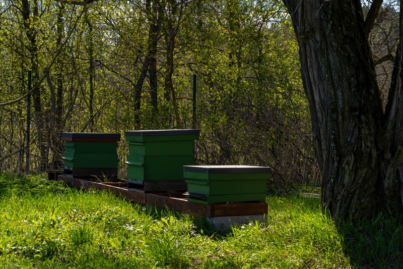 tallinna-botaanikaaed 2025-04-26 1-14