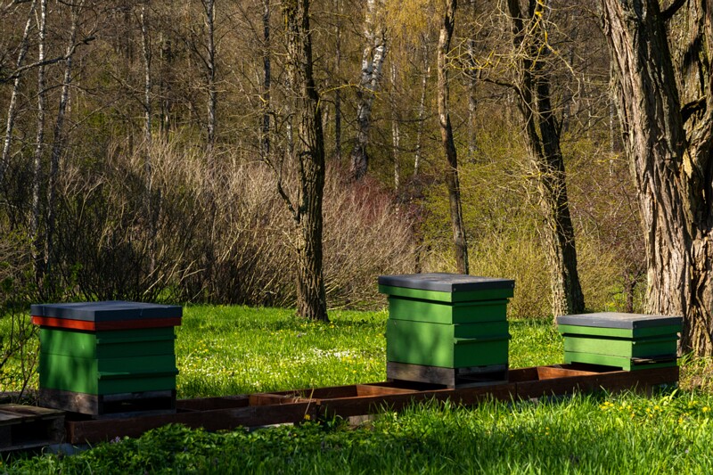 tallinna-botaanikaaed 2025-04-26 1-15