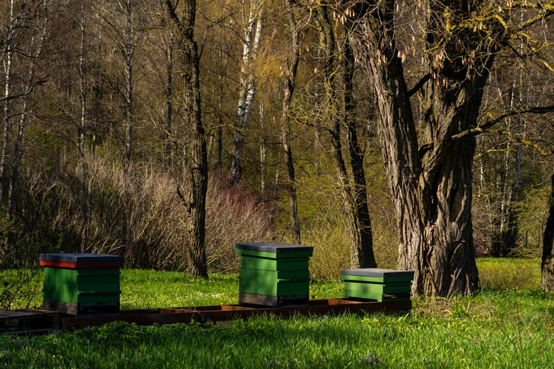 tallinna-botaanikaaed 2025-04-26 1-18