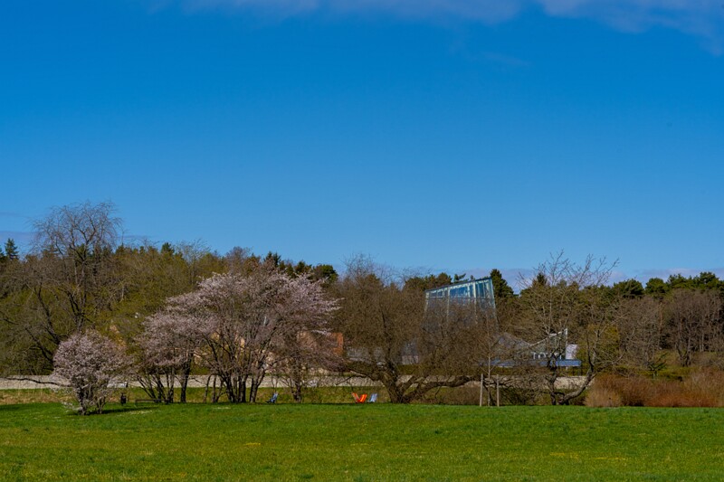 tallinna-botaanikaaed 2025-04-26 1-19