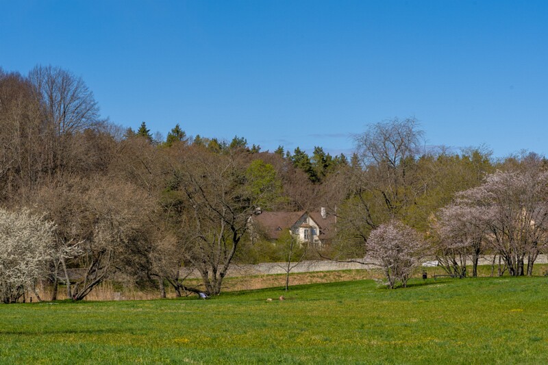 tallinna-botaanikaaed 2025-04-26 1-20