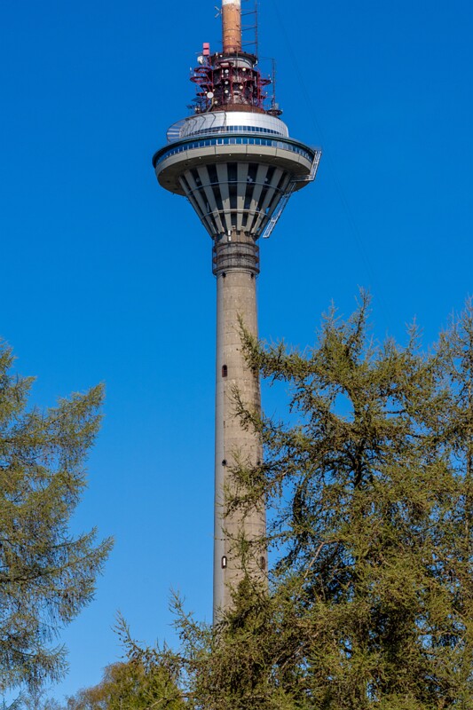 tallinna-botaanikaaed 2025-04-26 1-23