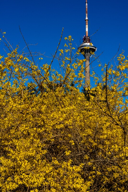 tallinna-botaanikaaed 2025-04-26 1-27