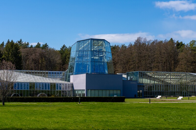 tallinna-botaanikaaed 2025-04-26 1-31