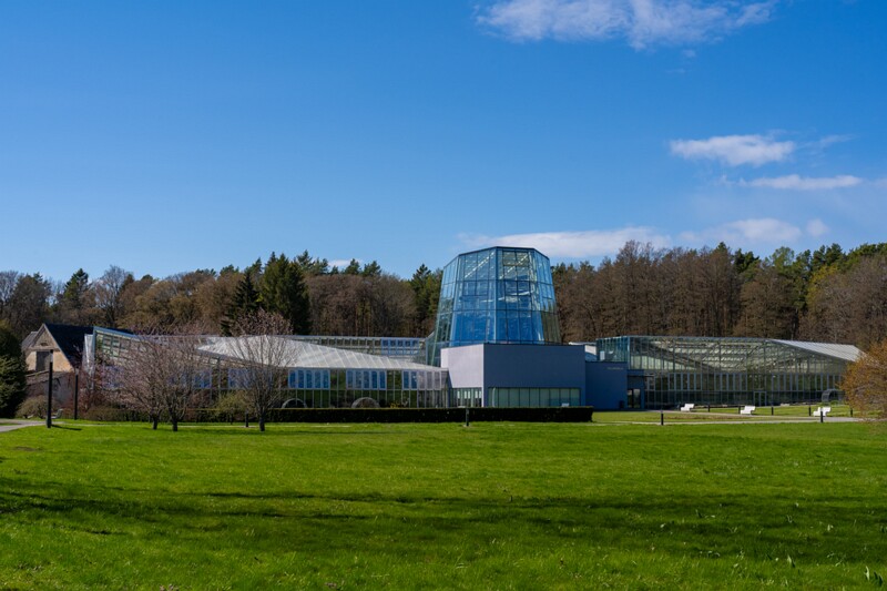 tallinna-botaanikaaed 2025-04-26 1-32