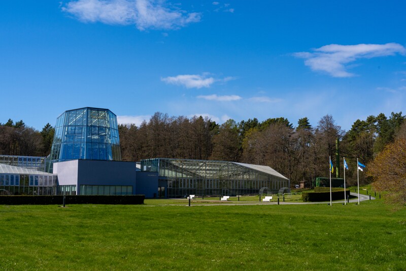 tallinna-botaanikaaed 2025-04-26 1-34