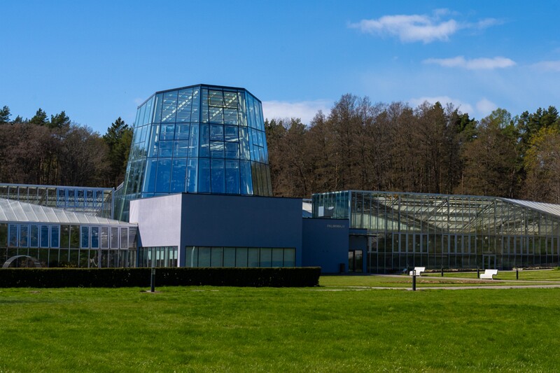 tallinna-botaanikaaed 2025-04-26 1-35