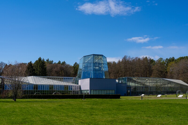 tallinna-botaanikaaed 2025-04-26 1-36