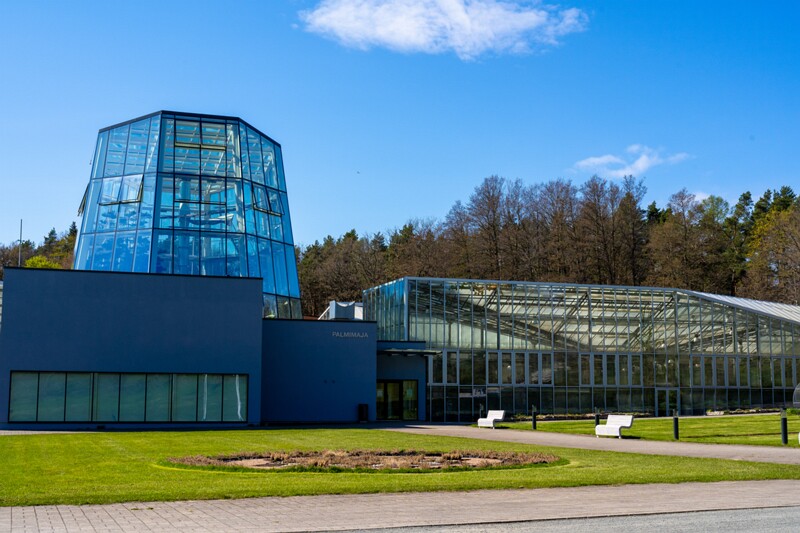 tallinna-botaanikaaed 2025-04-26 1-37