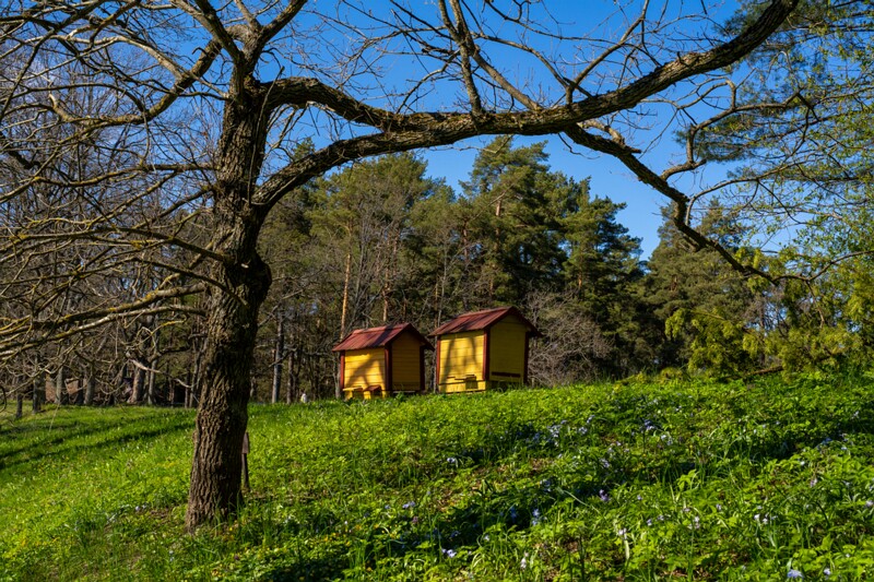 tallinna-botaanikaaed 2025-04-26 1-39