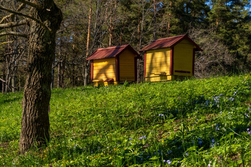 tallinna-botaanikaaed 2025-04-26 1-41