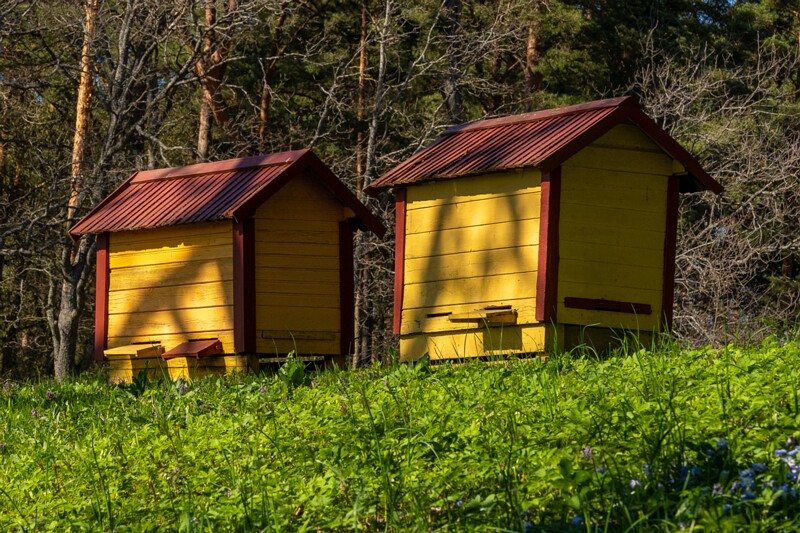 tallinna-botaanikaaed 2025-04-26 1-43