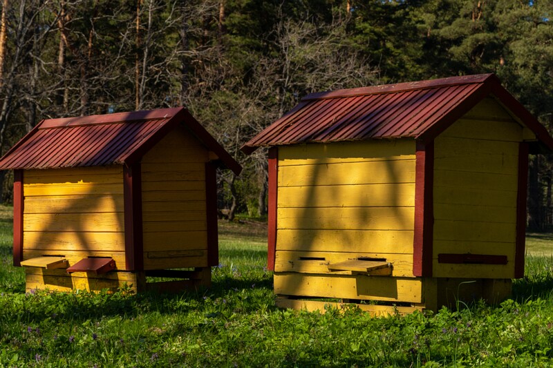 tallinna-botaanikaaed 2025-04-26 1-44