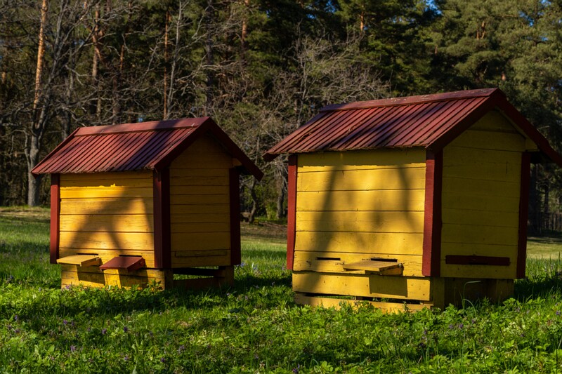 tallinna-botaanikaaed 2025-04-26 1-45