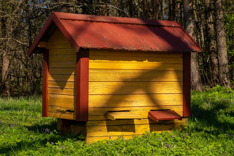 tallinna-botaanikaaed 2025-04-26 1-46