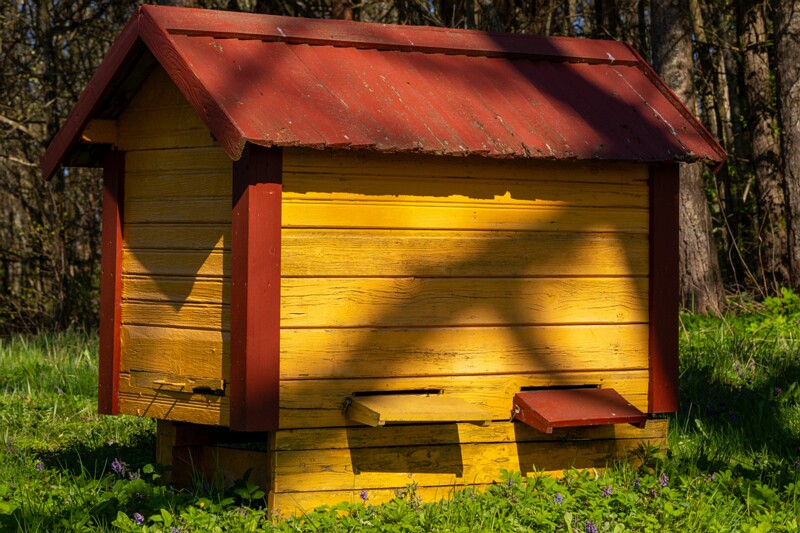 tallinna-botaanikaaed 2025-04-26 1-47