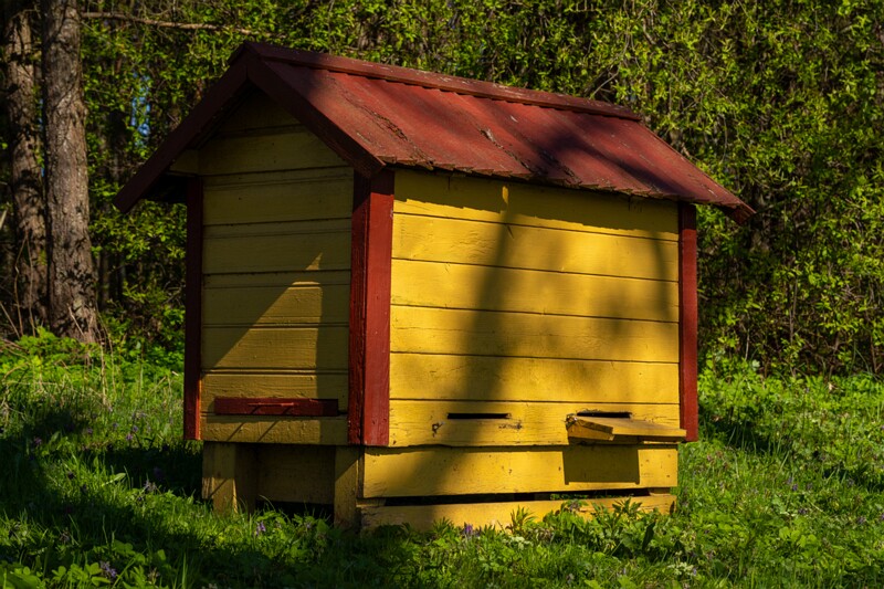 tallinna-botaanikaaed 2025-04-26 1-48