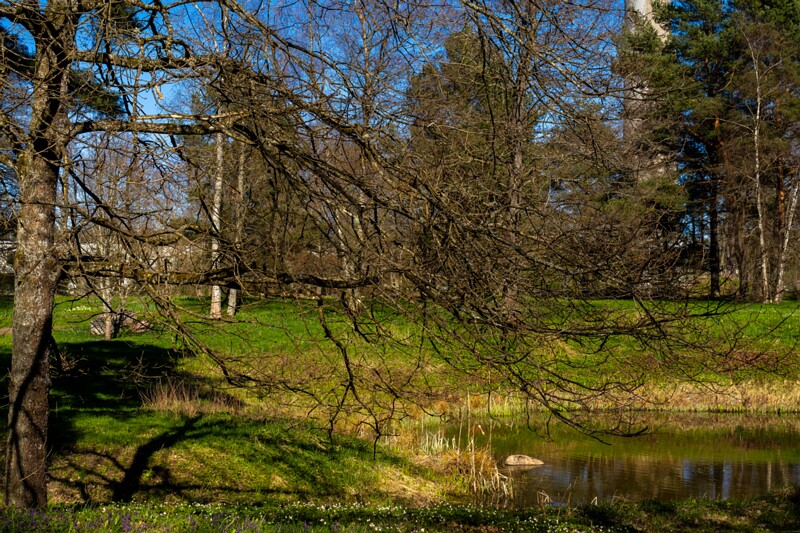 tallinna-botaanikaaed 2025-04-26 1-67