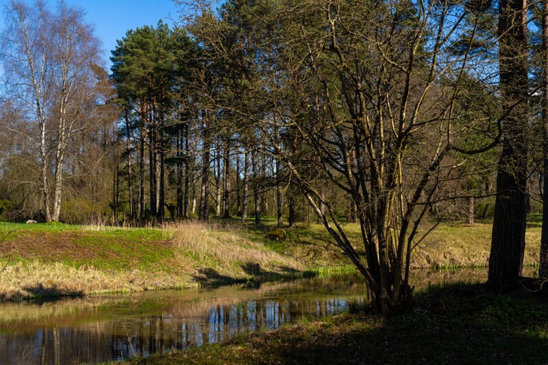 tallinna-botaanikaaed 2025-04-26 1-68