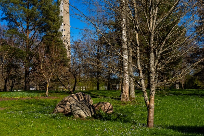 tallinna-botaanikaaed 2025-04-26 1-69