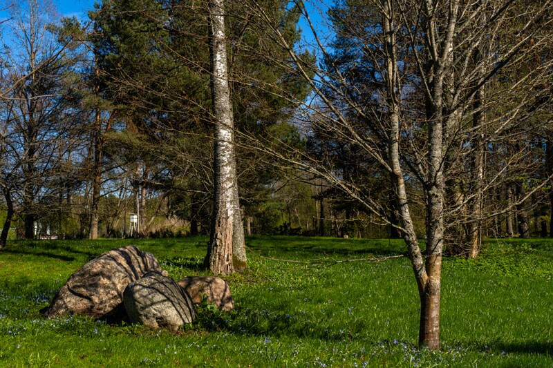 tallinna-botaanikaaed 2025-04-26 1-70