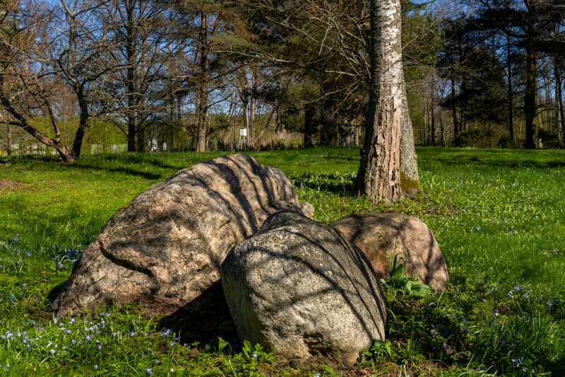 tallinna-botaanikaaed 2025-04-26 1-71