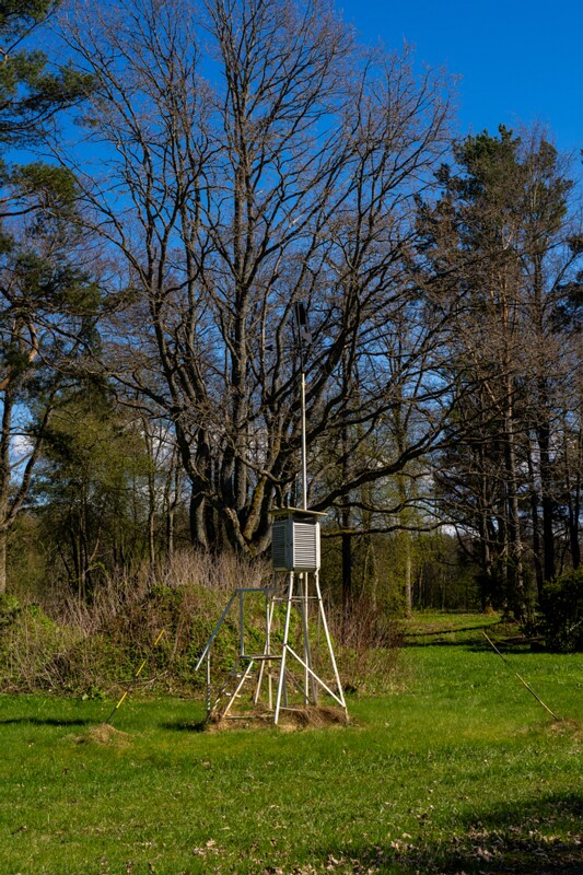 tallinna-botaanikaaed 2025-04-26 1-73