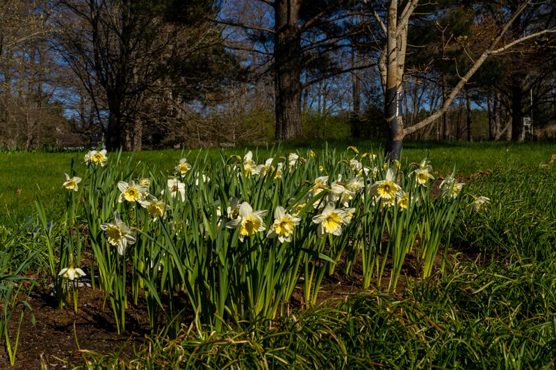 tallinna-botaanikaaed 2025-04-26 1-76