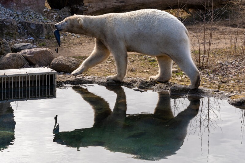 tallinna-loomaaed 2025-04-06 1-11