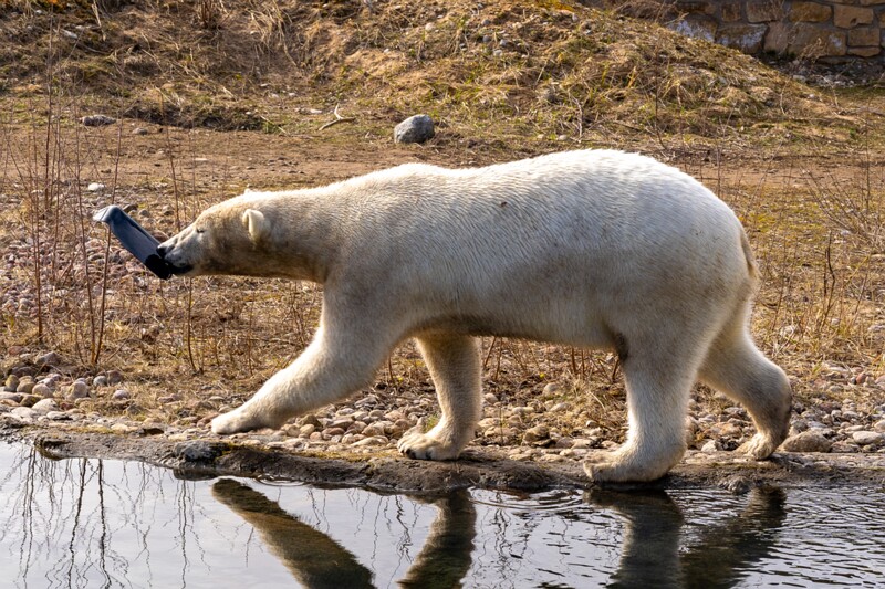 tallinna-loomaaed 2025-04-06 1-2