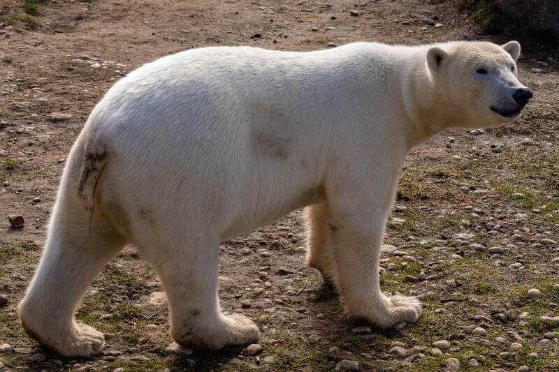 tallinna-loomaaed 2025-04-06 1-20