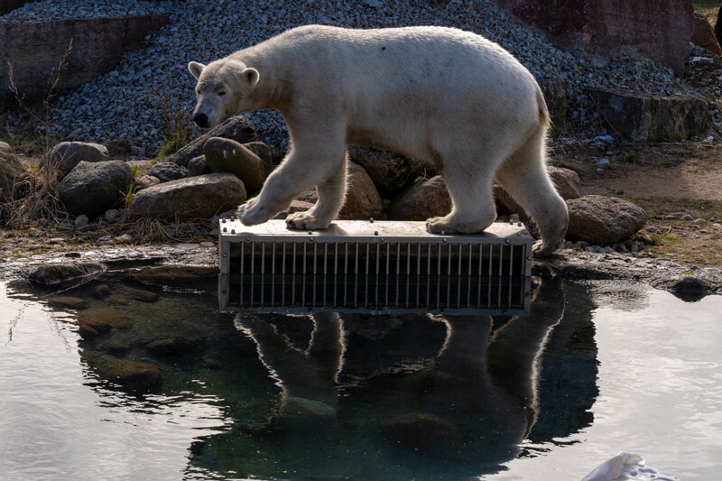 tallinna-loomaaed 2025-04-06 1-23