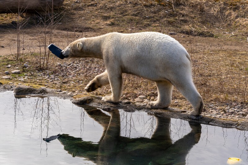 tallinna-loomaaed 2025-04-06 1-3