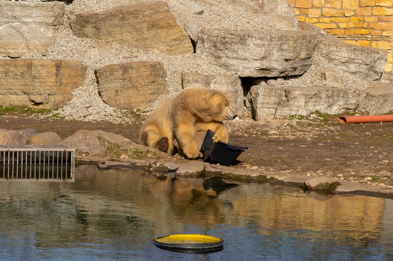 tallinna-loomaaed 2025-04-06 1-49