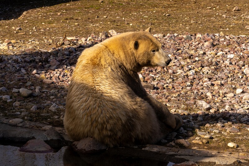 tallinna-loomaaed 2025-04-06 1-50