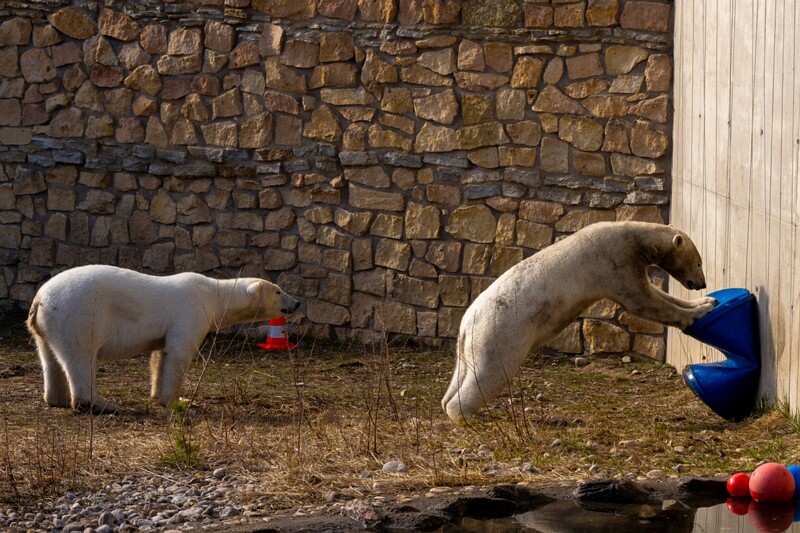 tallinna-loomaaed 2025-04-06 1-52