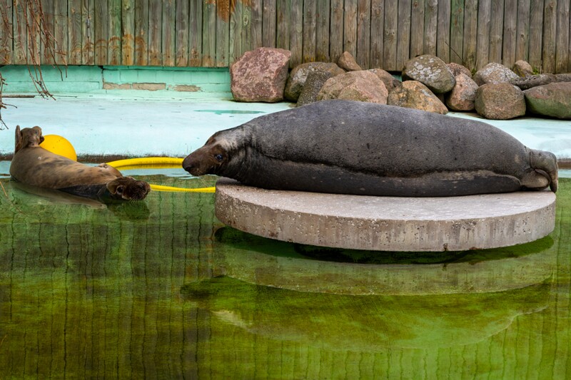 tallinna-loomaaed 2025-04-06 1-62