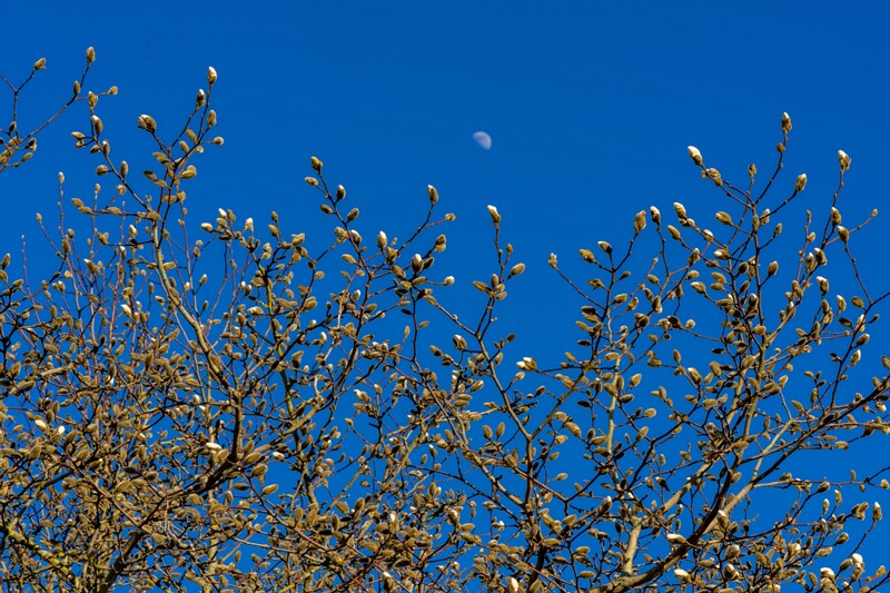 tallinna-loomaaed 2025-04-06 1-64