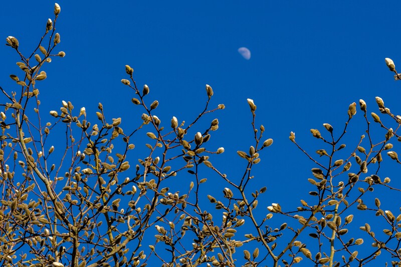 tallinna-loomaaed 2025-04-06 1-65