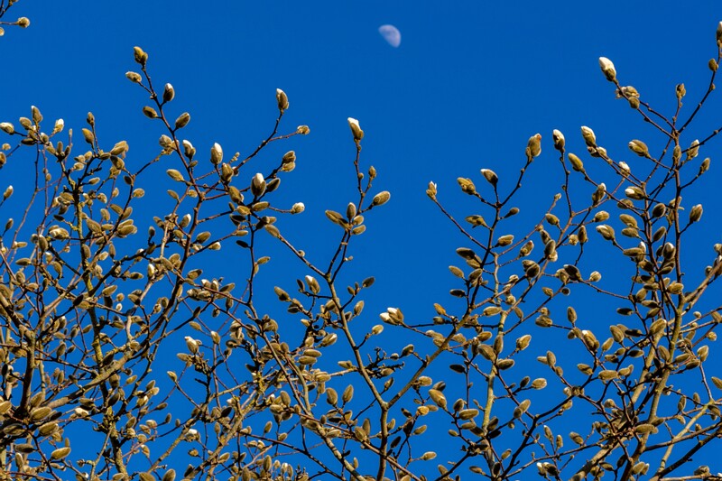 tallinna-loomaaed 2025-04-06 1-68