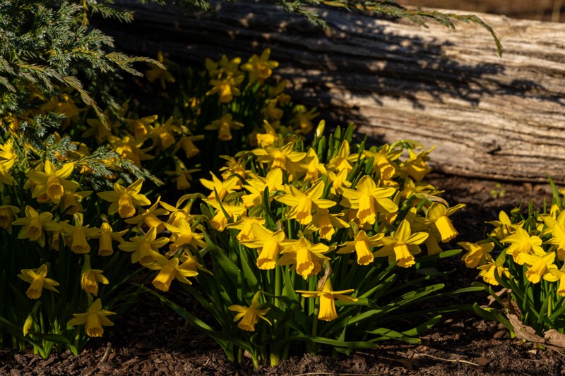 tallinna-loomaaed 2025-04-06 1-69