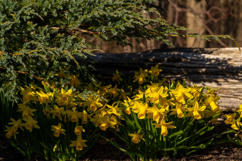 tallinna-loomaaed 2025-04-06 1-71