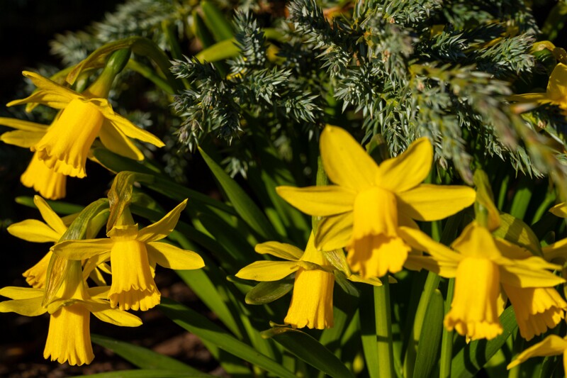 tallinna-loomaaed 2025-04-06 1-76