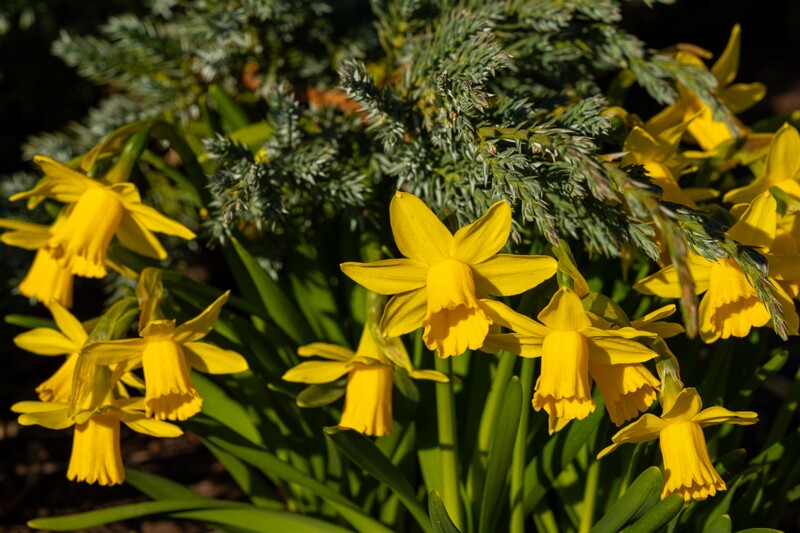 tallinna-loomaaed 2025-04-06 1-77