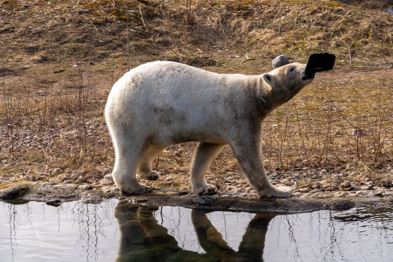 tallinna-loomaaed 2025-04-06 1-8